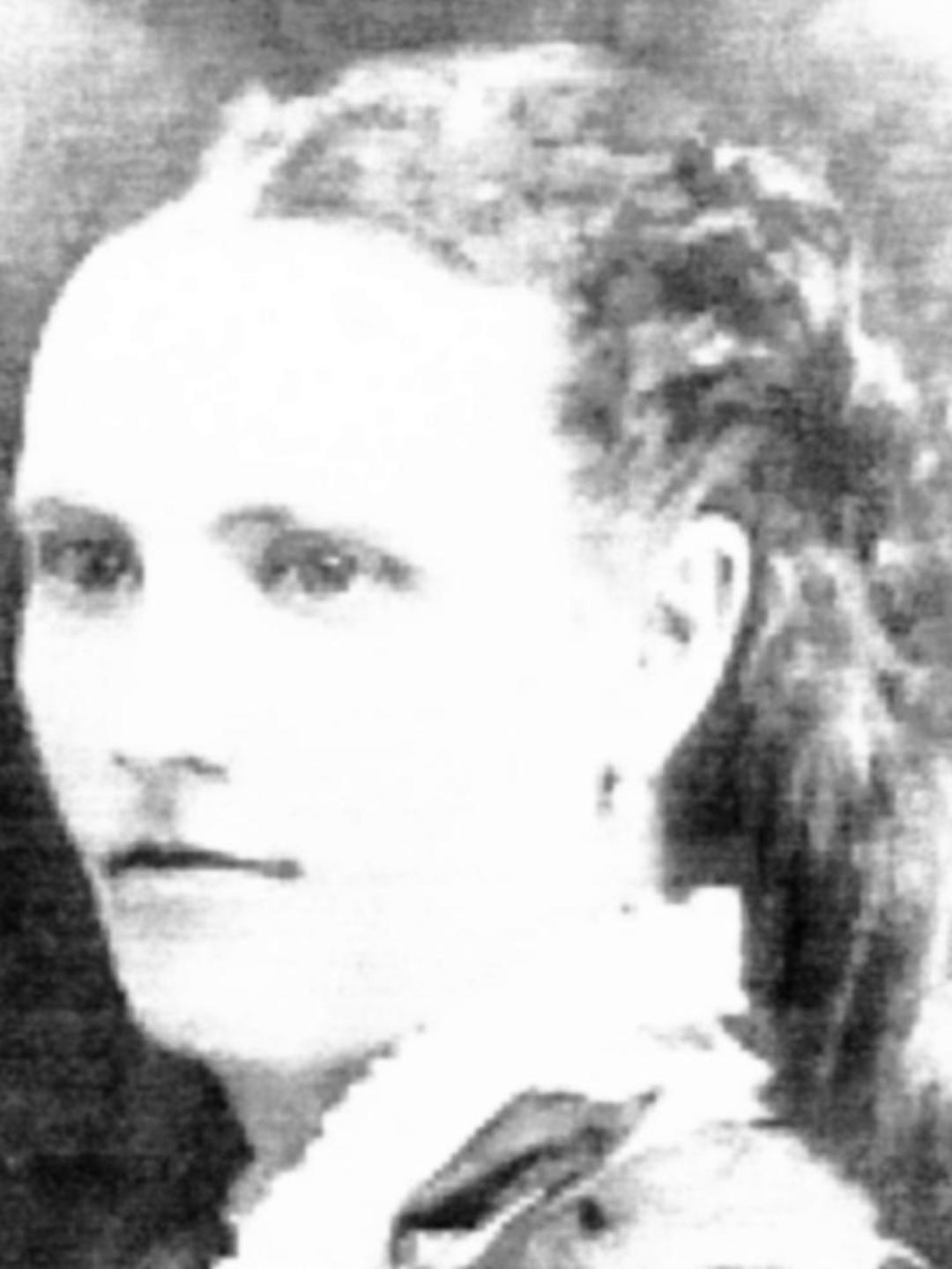Tamer Stephens (1807 - 1893) Profile